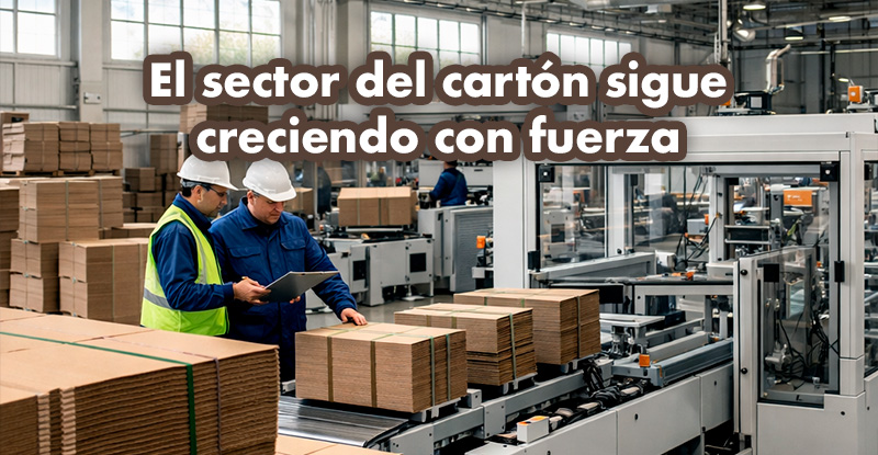 sector del envase de cartón