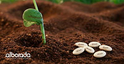 Destacada_semilla_logo2